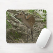 Hirsch Mousepad (Mit Mouse)