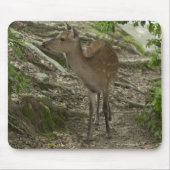 Hirsch Mousepad (Vorne)