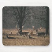 Hirsch Mousepad (Vorne)