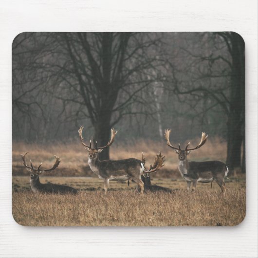 Hirsch Mousepad (Vorne)