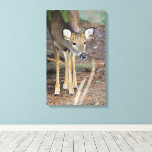 Hirsch, Ohio Leinwanddruck (Insitu (Holzboden))