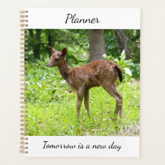 Hirsch Planer