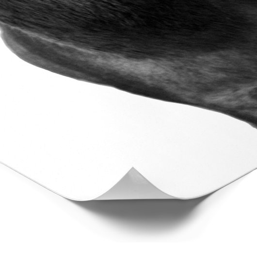 Hirsch Poster (Ecke)