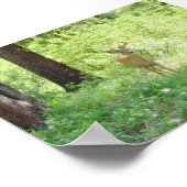 Hirsch Poster (Ecke)