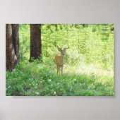 Hirsch Poster (Vorne)