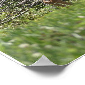 Hirsch Poster (Ecke)