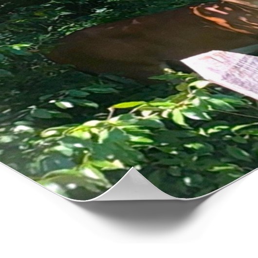 Hirsch, Poster (Ecke)