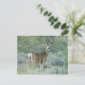 Hirsch Postkarte (Stehend Vorderseite)
