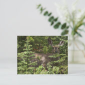 Hirsch Postkarte (Stehend Vorderseite)