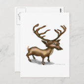 Hirsch Postkarte (Vorne/Hinten)