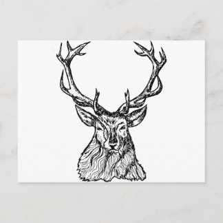 Hirsch Postkarte