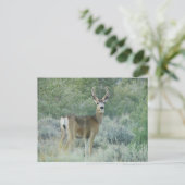 Hirsch Postkarte (Stehend Vorderseite)