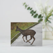 Hirsch Postkarte (Stehend Vorderseite)