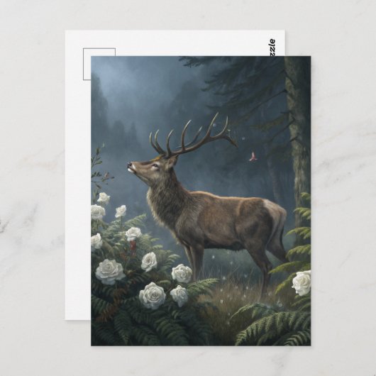 Hirsch Postkarte (Vorne/Hinten)