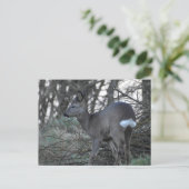 Hirsch Postkarte (Stehend Vorderseite)