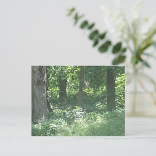 Hirsch Postkarte (Stehend Vorderseite)