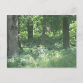 Hirsch Postkarte (Vorderseite)