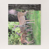 Hirsch Puzzle (Vertikal)