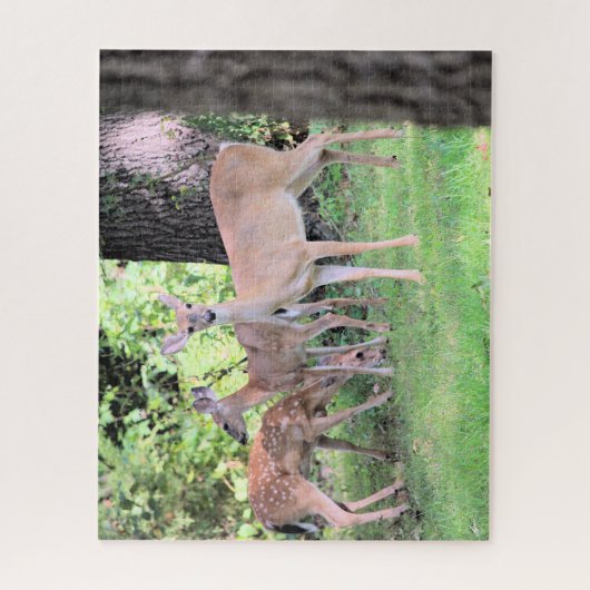 Hirsch Puzzle (Vertikal)