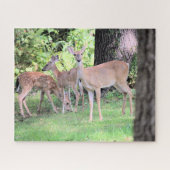 Hirsch Puzzle (Horizontal)