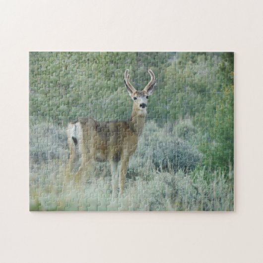 Hirsch Puzzle (Horizontal)