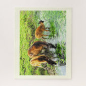 Hirsch Puzzle (Vertikal)