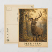Hirsch Rothirsch-Waldgebiete VINTAGE Postkarte (Vorne/Hinten)