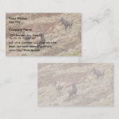 Hirsch-Rotwild in Glencoe Visitenkarte (Vorne/Hinten)