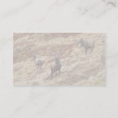 Hirsch-Rotwild in Glencoe Visitenkarte (Rückseite)