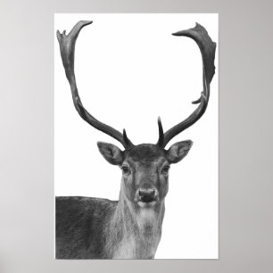 Hirsch Rotwild Schwarz Weiß Hütten Stil Poster