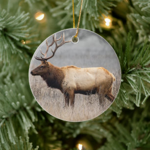 Hirsch Rotwild Tiere Wildnis Natur Bock Keramik Ornament