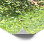 Hirsch Running Foto Poster (Ecke)