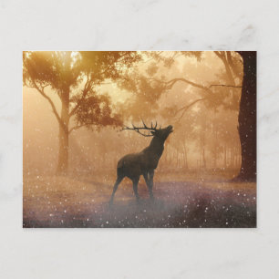 Hirsch schöne Naturlandschaft Postkarte