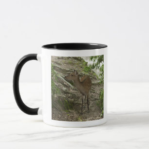 Hirsch Tasse