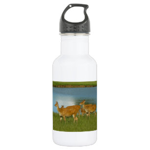 Hirsch Tier Natur Frieden Liebe Schicksal Spaß Kun Trinkflasche