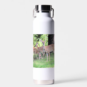 Hirsch Trinkflasche