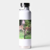 Hirsch Trinkflasche (Rechts)