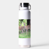 Hirsch Trinkflasche (Rückseite)