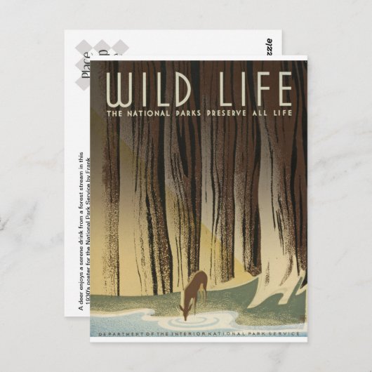 Hirsch und Stream Postkarte (Vorne/Hinten)