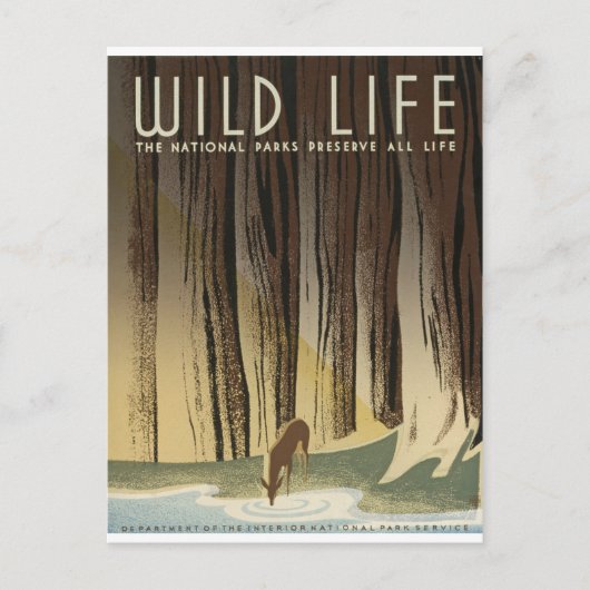 Hirsch und Stream Postkarte (Vorderseite)
