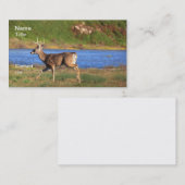 Hirsch-Visitenkarten Visitenkarte (Vorne/Hinten)