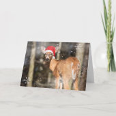 Hirsch Weihnachten Schnee Wald Forst (Vorderseite)