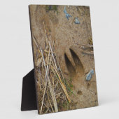 Hirschbahn Fotoplatte (Seite)