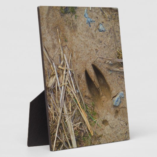 Hirschbahn Fotoplatte (Seite)