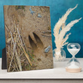 Hirschbahn Fotoplatte (Seite)