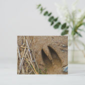 Hirschbahn Postkarte (Stehend Vorderseite)