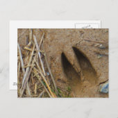 Hirschbahn Postkarte (Vorne/Hinten)