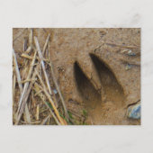 Hirschbahn Postkarte (Vorderseite)