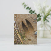 Hirschbahn Postkarte (Stehend Vorderseite)