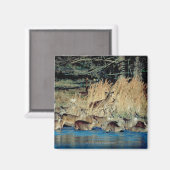 Hirschbestand 2 magnet (Vorderseite/Rückseite)